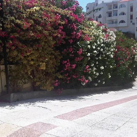 Marina Sol 2*